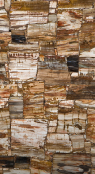  Kiromarble Petrified Wood Retro